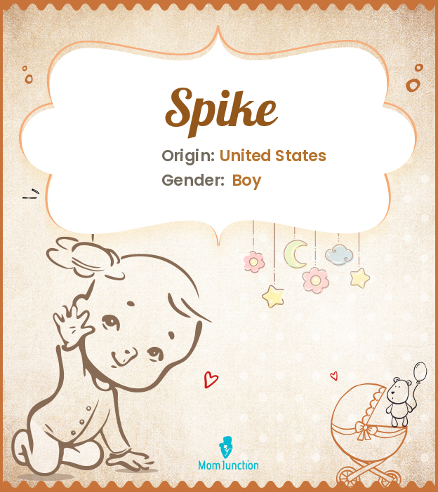 Spike Name Meaning, Origin, History, And Popularity
