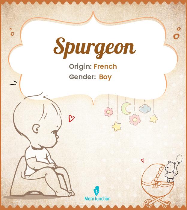 Spurgeon Name Meaning, Origin, History, And Popularity MomJunction