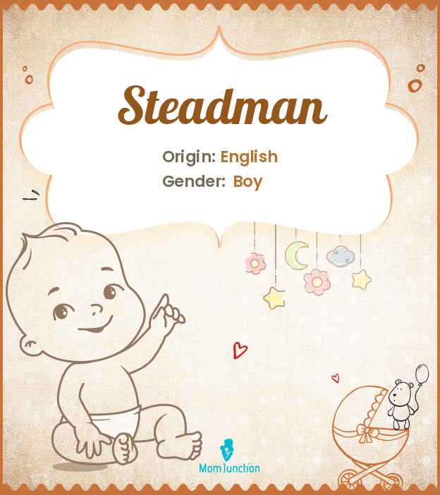 steadman