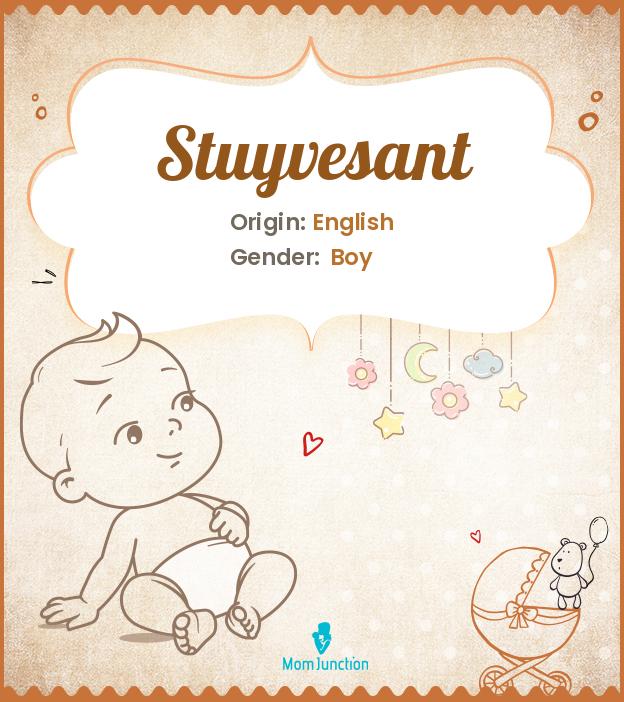 Explore Stuyvesant Meaning, Origin & Popularity MomJunction