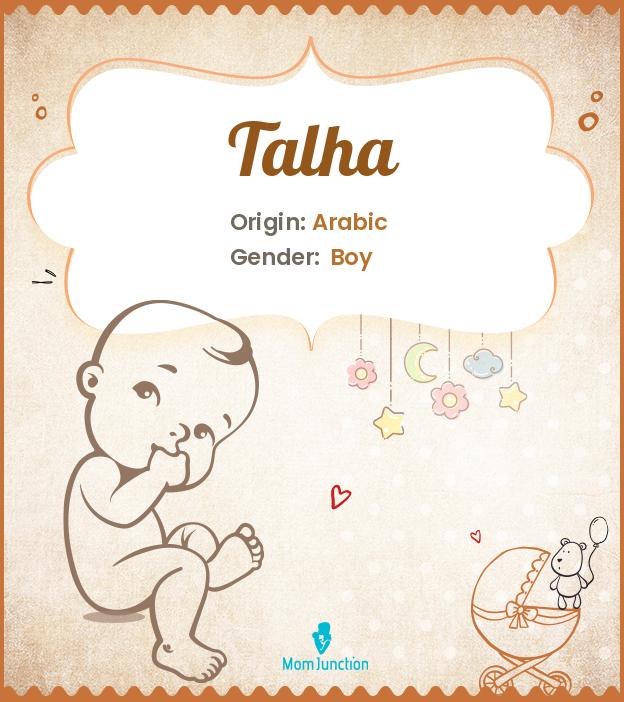 Talha Name Meaning, Origin, History, And Popularity