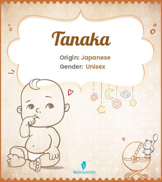 explore-tanaka-meaning-origin-popularity