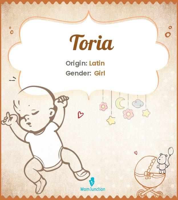 Explore Toria Meaning, Origin & Popularity
