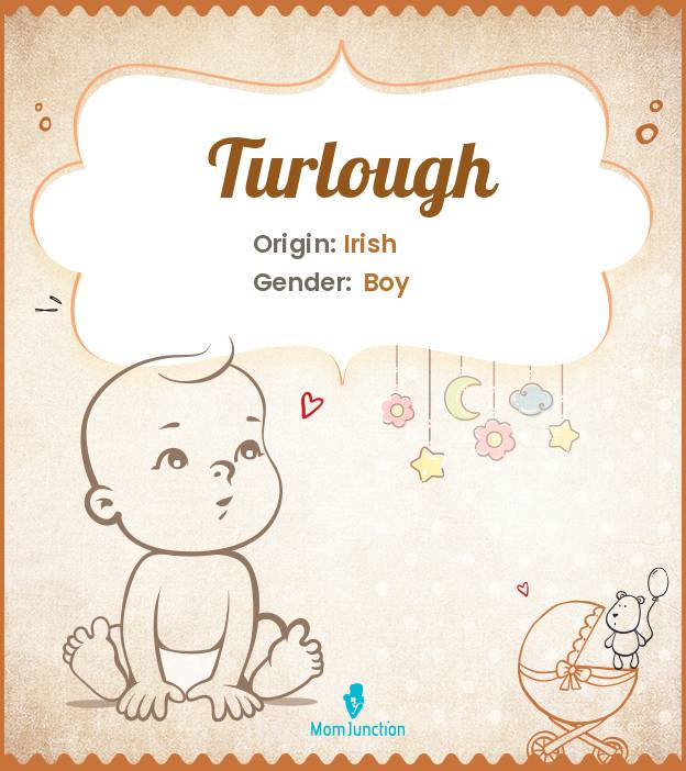 turlough