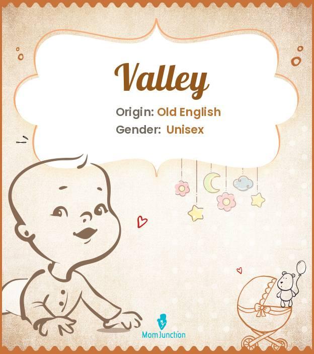 Explore Valley Meaning, Origin & Popularity
