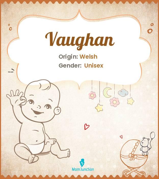 Explore Vaughan Meaning, Origin & Popularity