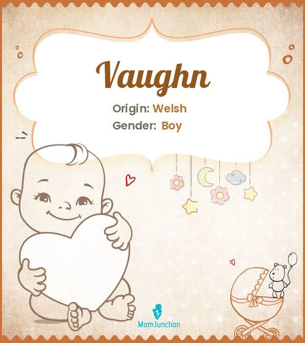 Explore Vaughn Meaning, Origin & Popularity