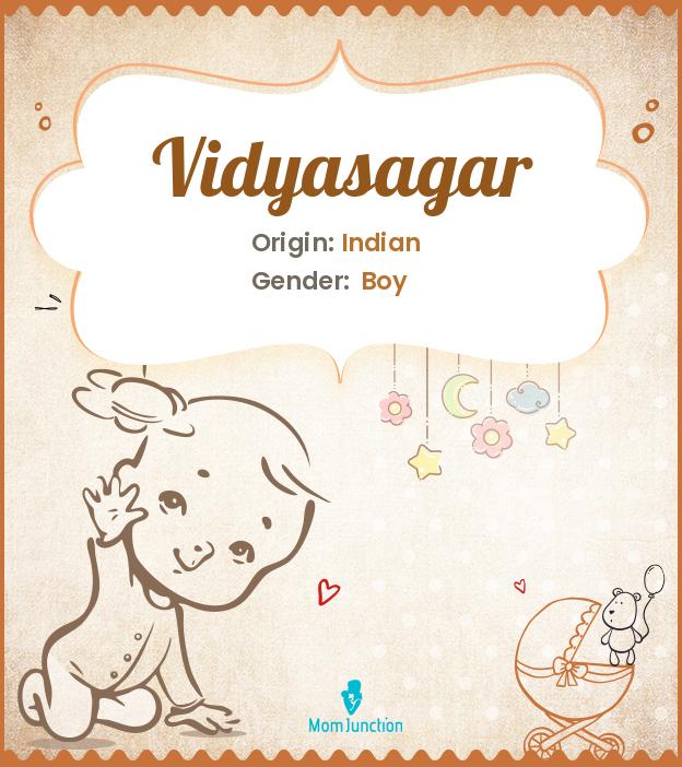 Vidyasagar Vidyasagar