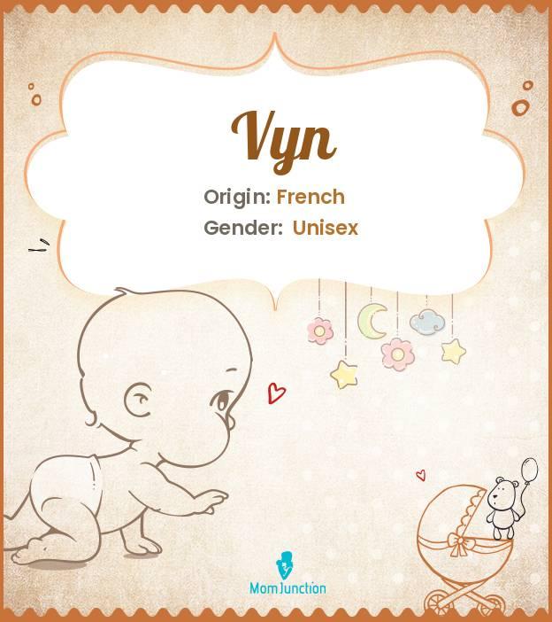 explore-vyn-meaning-origin-popularity