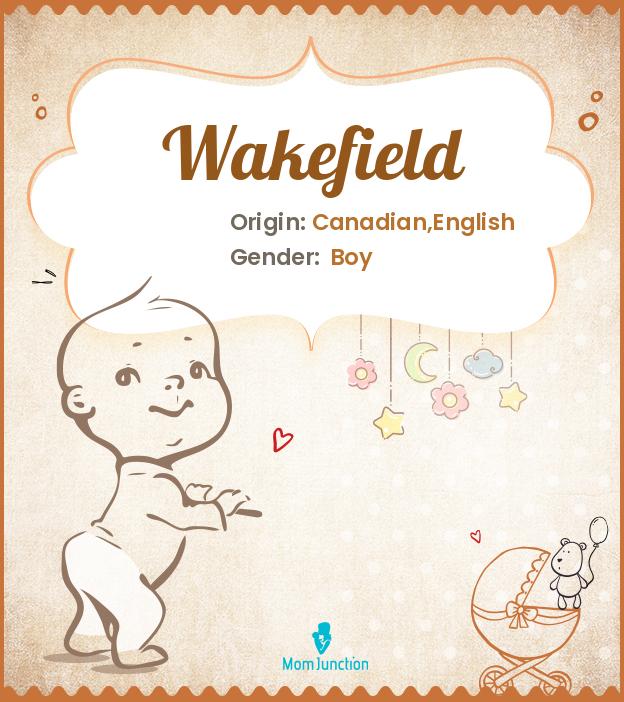 Wakefield Name Meaning, Origin, History, And Popularity MomJunction