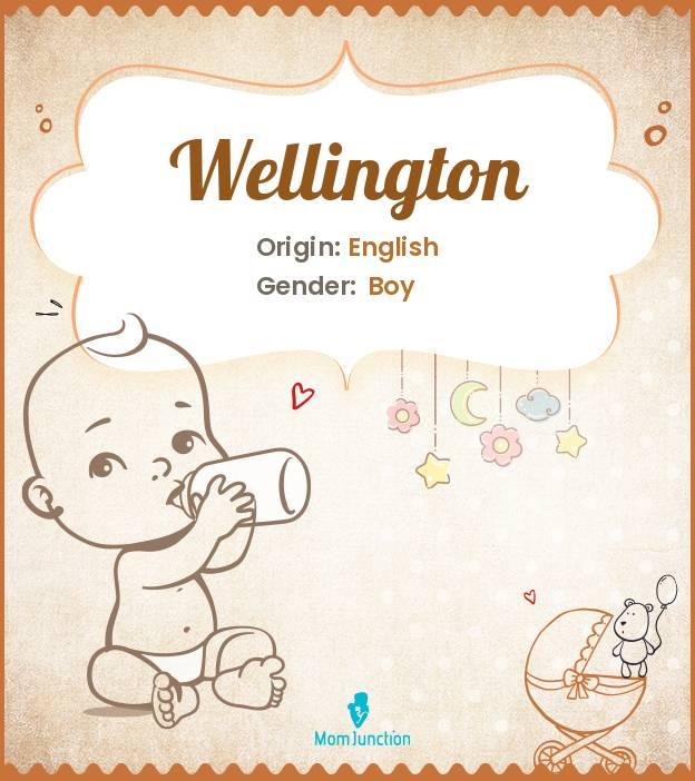 Explore Wellington Meaning, Origin & Popularity