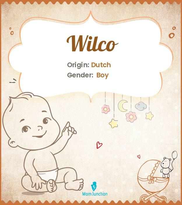 Wilco Name Meaning Origin History And Popularity MomJunction