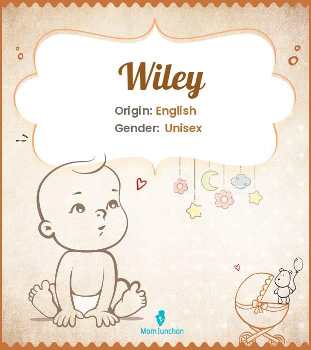 Explore Wiley: Meaning, Origin & Popularity
