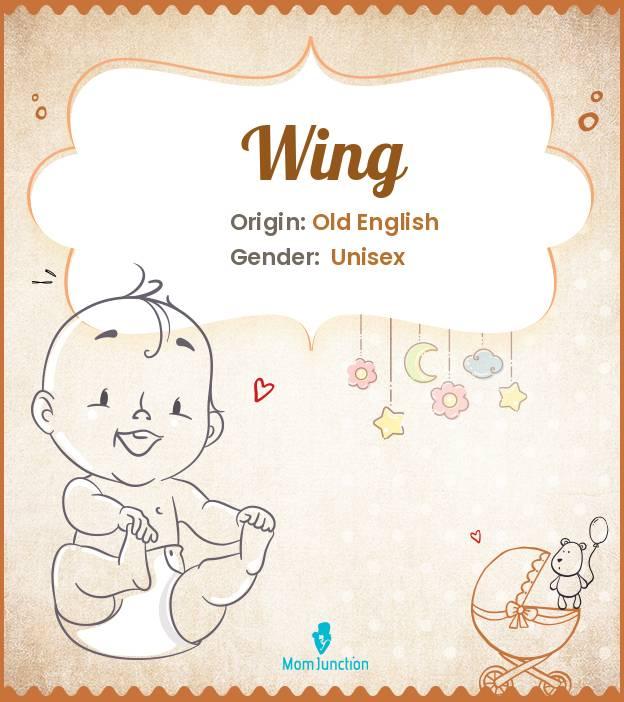 Explore Wing Meaning, Origin & Popularity