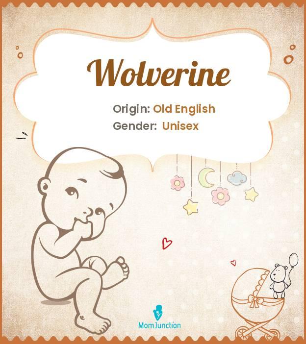 Explore Wolverine Meaning, Origin & Popularity MomJunction