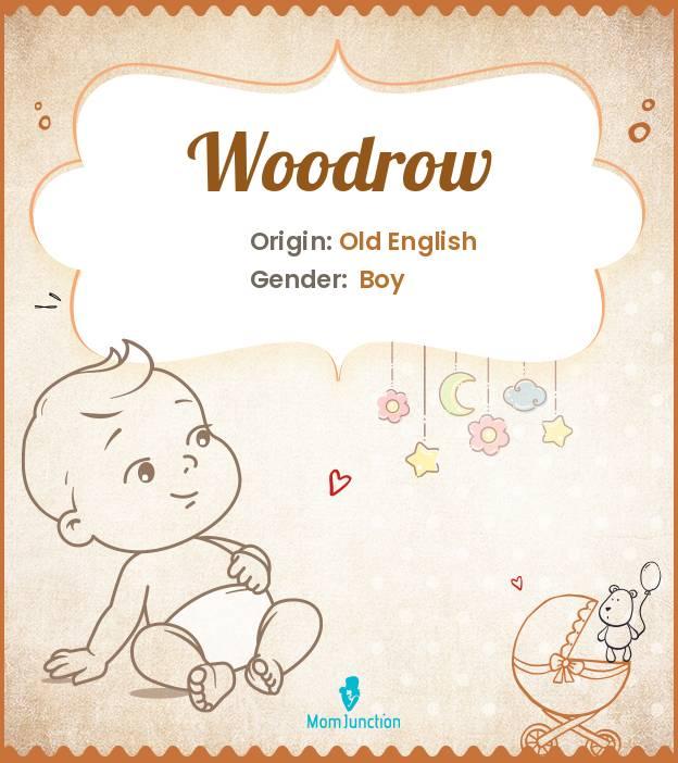 Explore Woodrow Meaning, Origin & Popularity