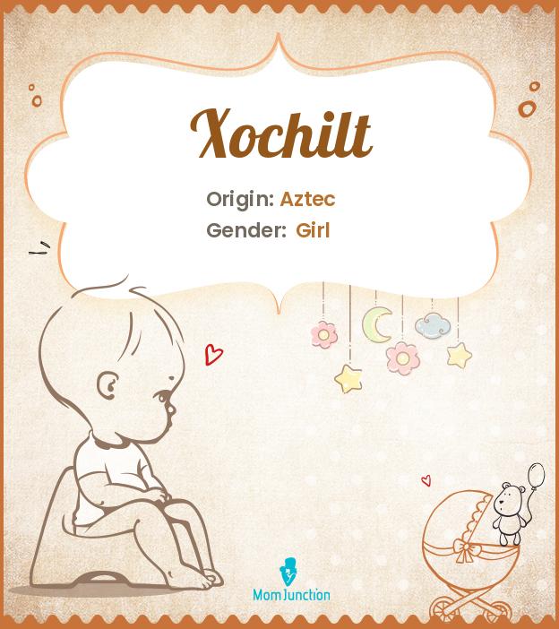 Explore Xochilt Meaning, Origin & Popularity