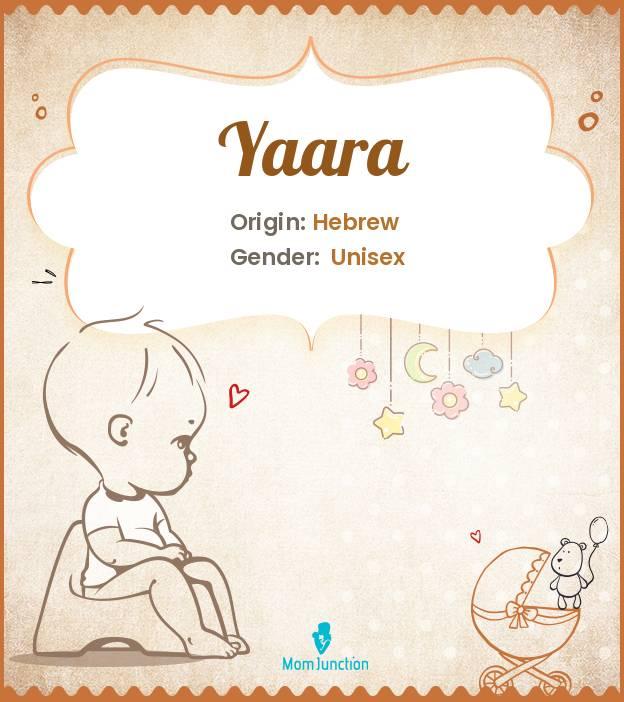 Explore Yaara Meaning, Origin & Popularity