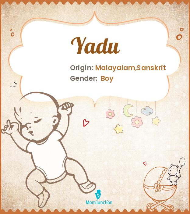 Explore Yadu: Meaning, Origin & Popularity