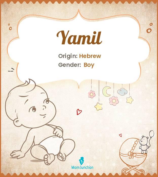 Explore Yamil: Meaning, Origin & Popularity