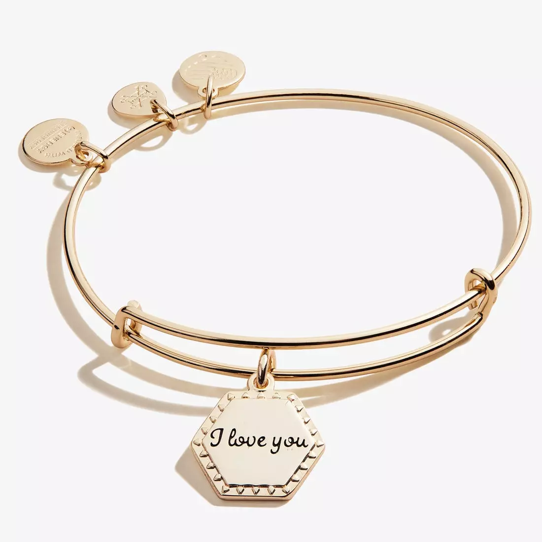 Alex and Ani Womens Because I Love You Sister Charm Bangle