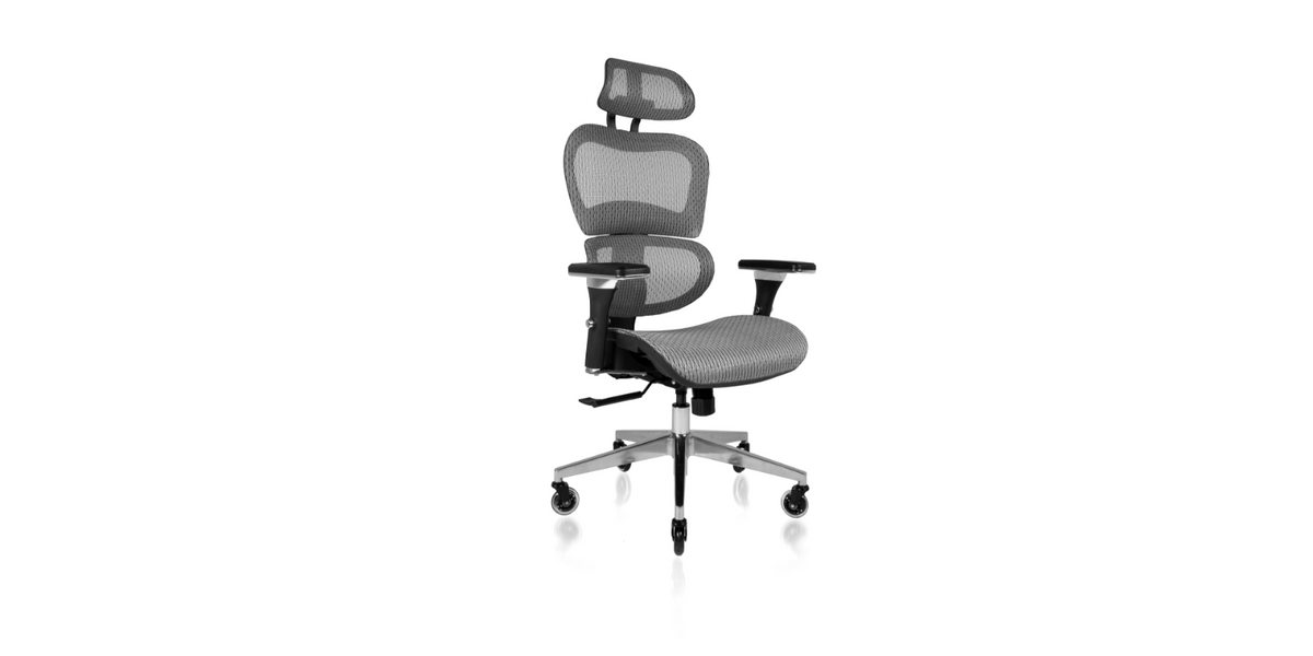 https://www.momjunction.com/wp-content/uploads/product-images/nouhaus-ergo3d-ergonomic-office-chair_afl979.png.webp