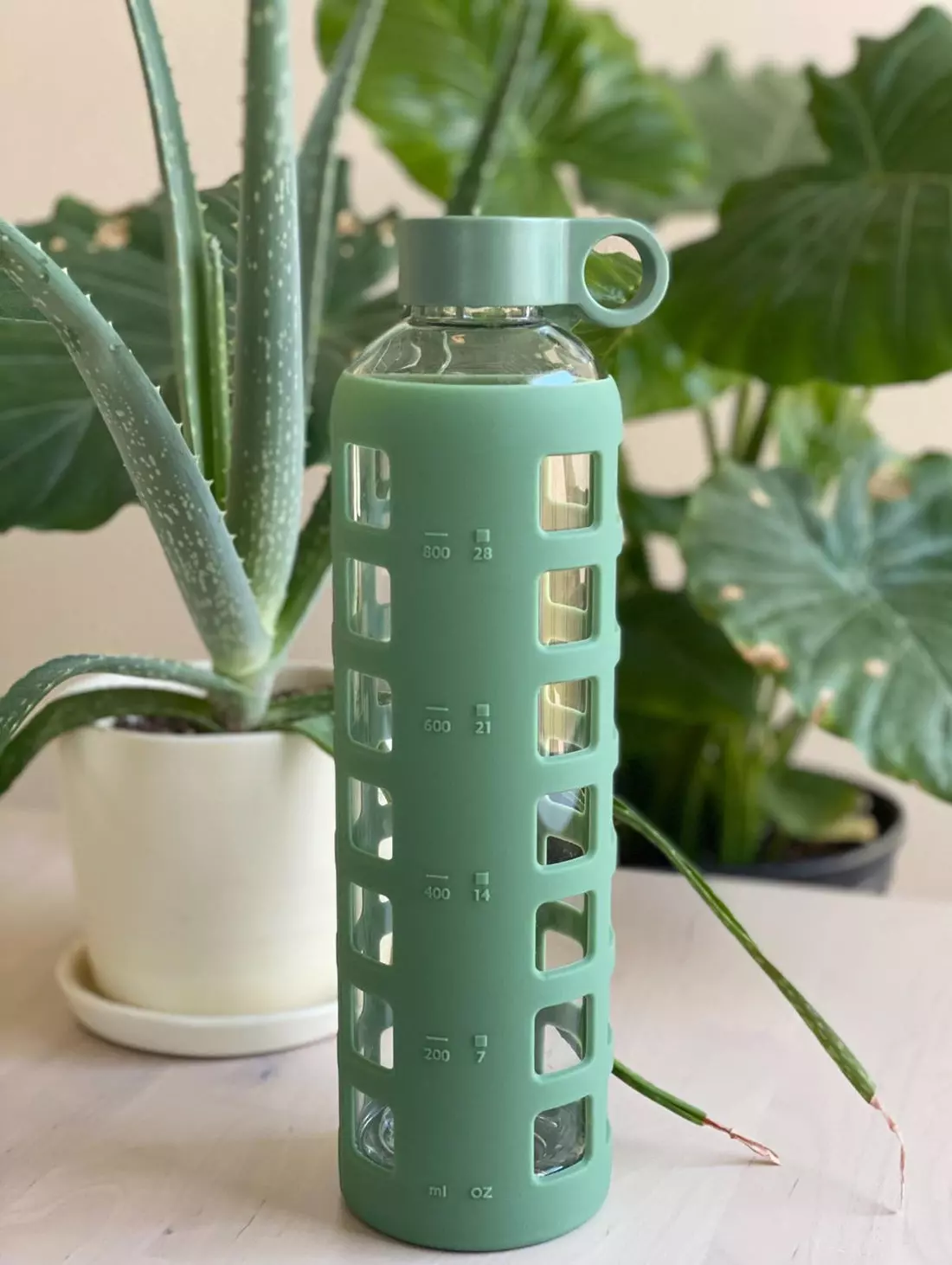 5 Best Glass Water Bottles of 2023