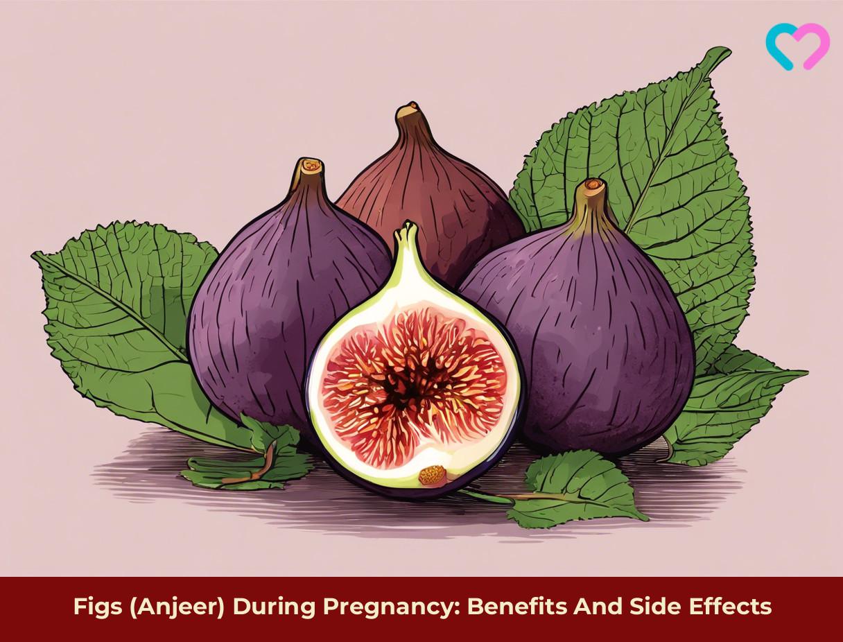 Figs (Anjeer) During Pregnancy Benefits And Side Effects